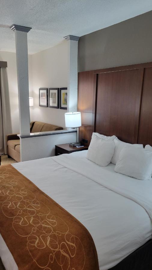 Comfort Suites Cumming-Atlanta Near Northside Hospital Forsyth Extérieur photo