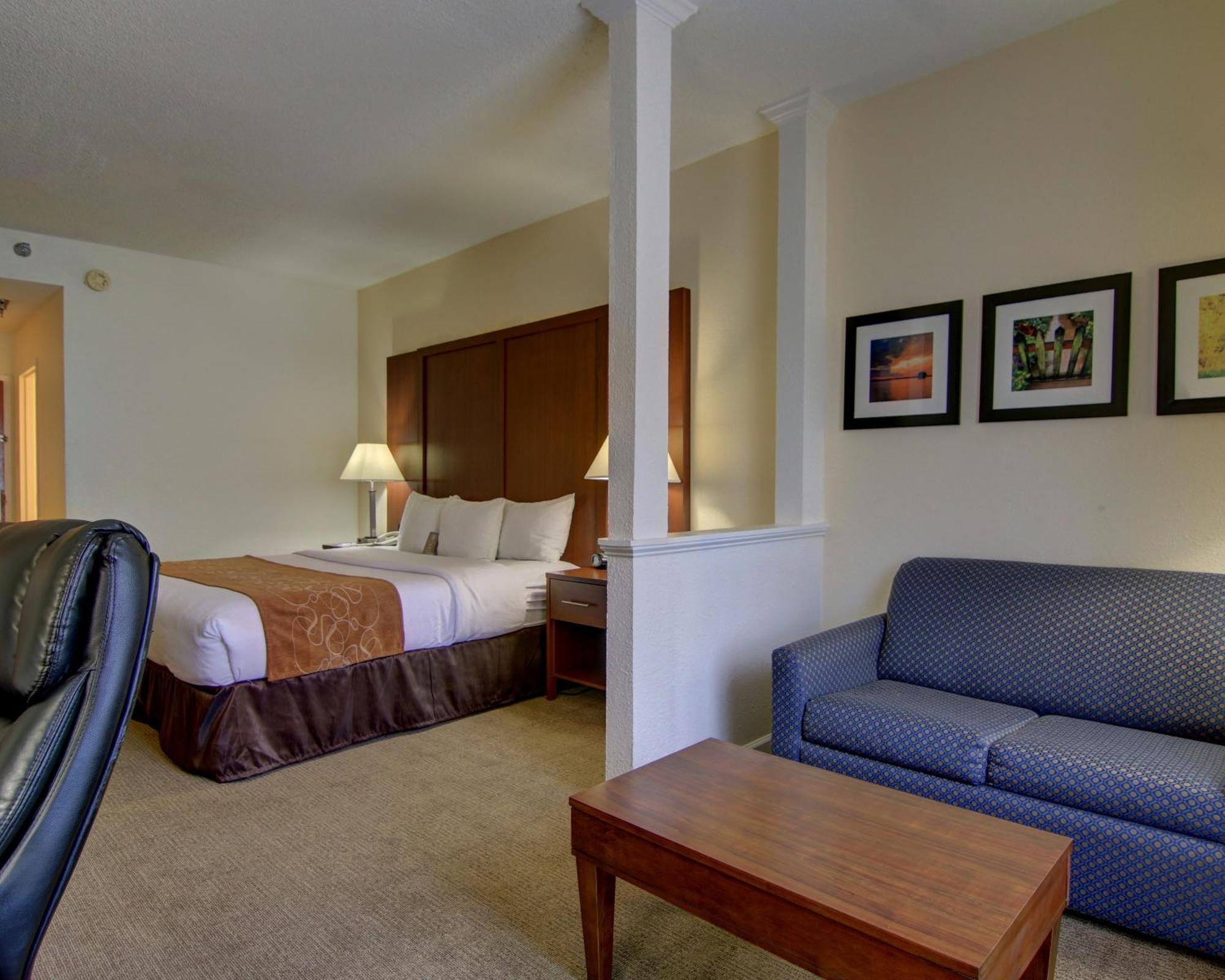 Comfort Suites Cumming-Atlanta Near Northside Hospital Forsyth Chambre photo